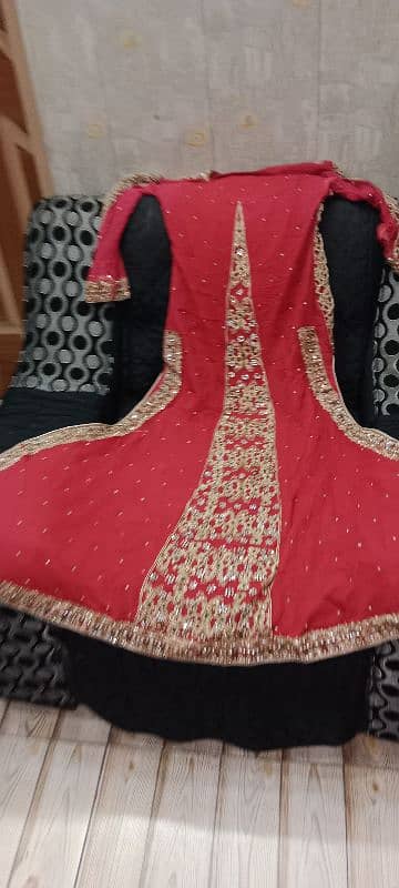 Bridal fish lehnga 3