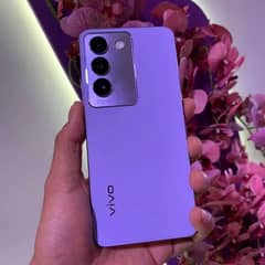 Vivo Y100   (Box pack)