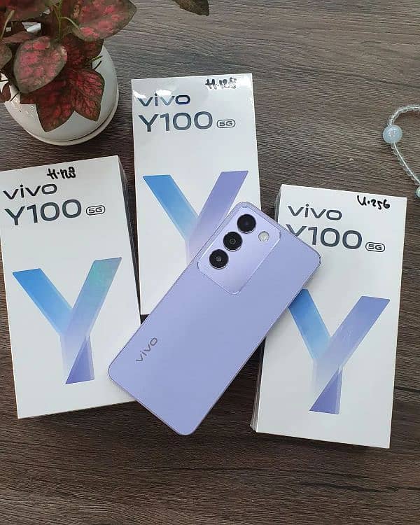 Vivo Y100   (Box pack) 5