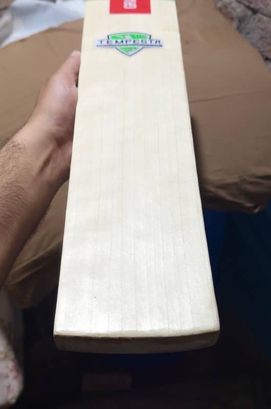 Cricket Bat 1