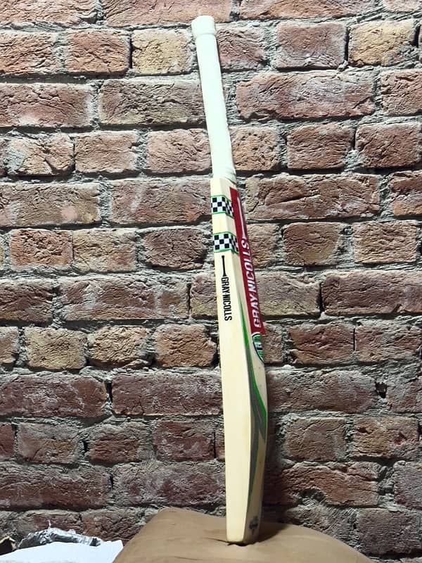 Cricket Bat 2