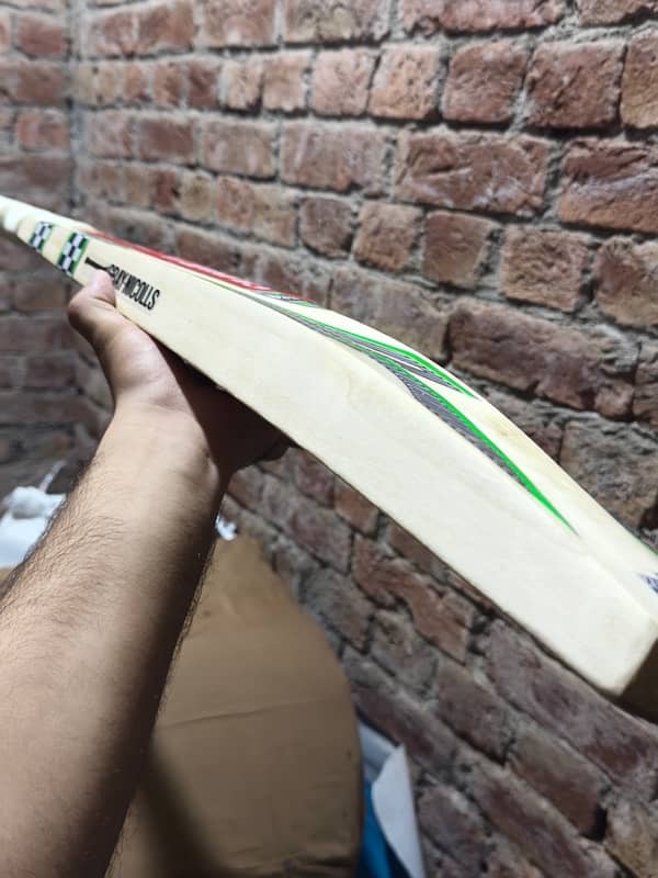 Cricket Bat 3