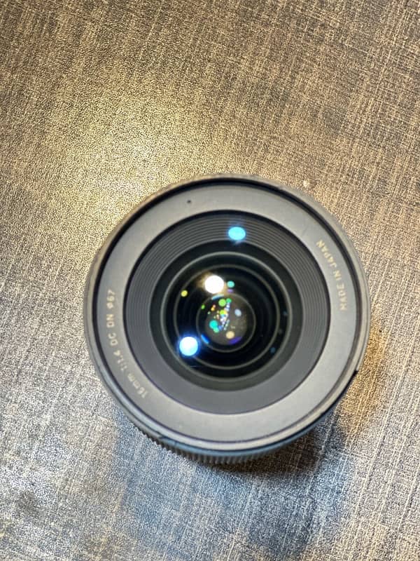 Sony Full frame body A7s2 with Crop lens 16 mm 2