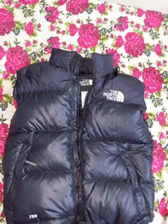 The North Face Original