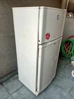 Pel Fridge Medium Size for Sale 0