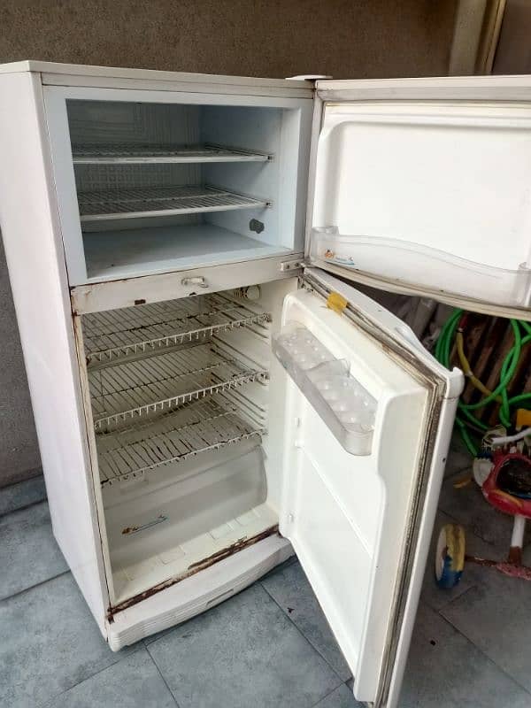 Pel Fridge Medium Size for Sale 2