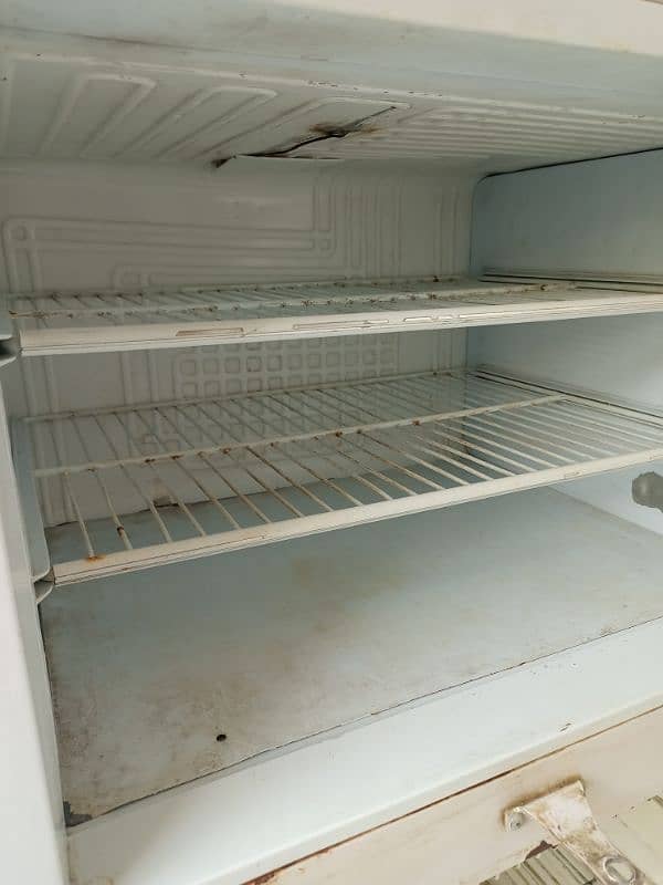 Pel Fridge Medium Size for Sale 3