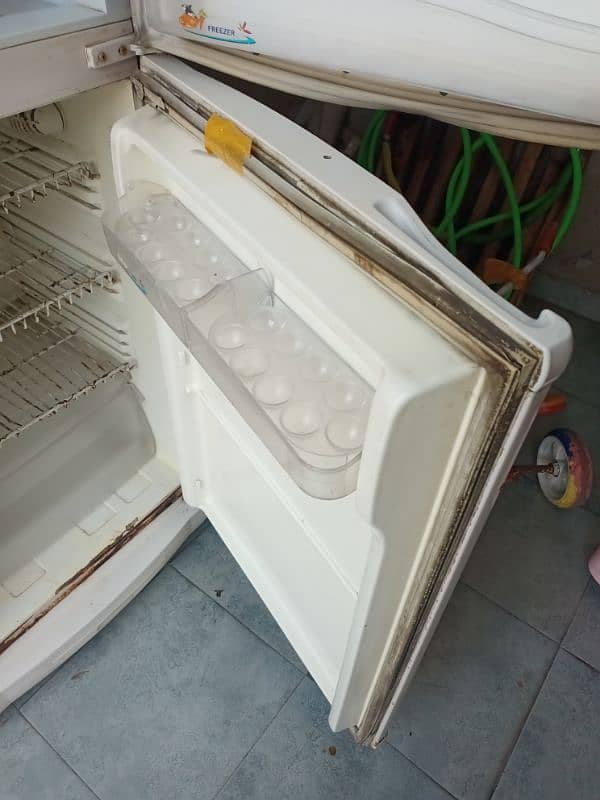 Pel Fridge Medium Size for Sale 5