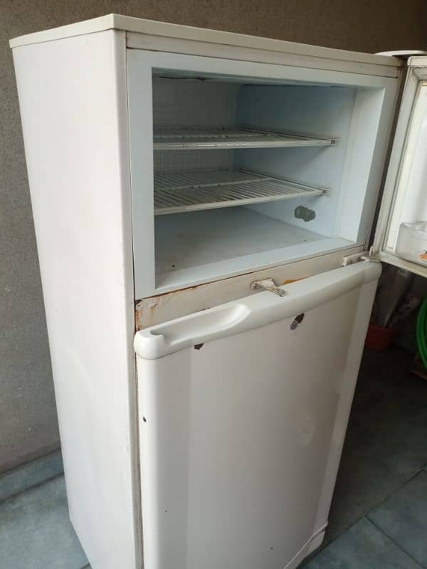 Pel Fridge Medium Size for Sale 6