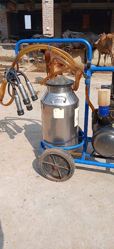 PORTABLE MILKING MACHINE ( Single Cluster & Single Bucket ) 1