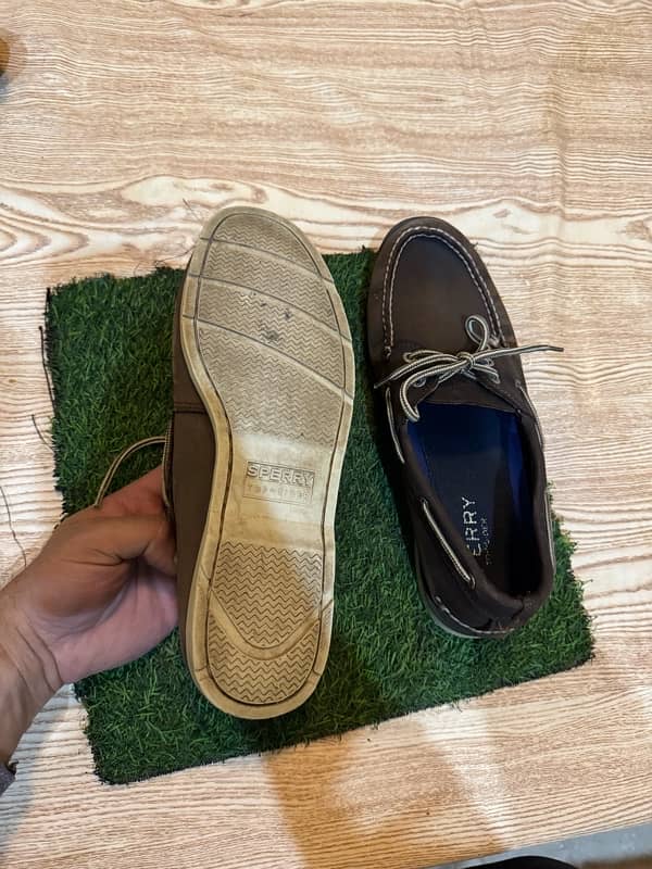 SPERRY Trendy sneakers for sale in reasonable price 2