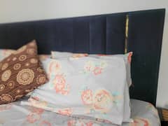 Black poshish bed home used 0