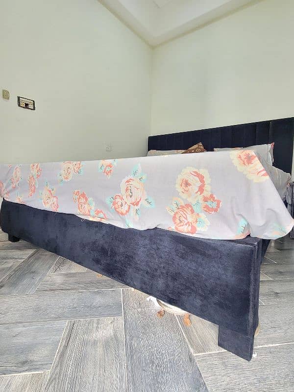 Black poshish bed home used 2