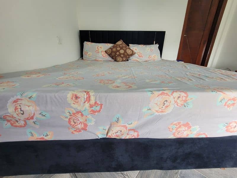 Black poshish bed home used 5