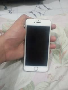 iPhone 6 0