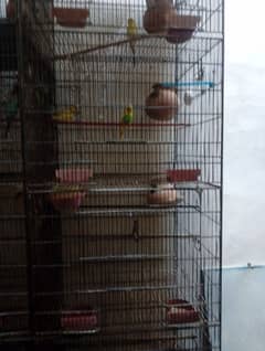 4 porshan cage 1 porshan size hi 24/24 ka 0