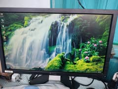 DELL E2011H MODEL 20 INCH WIDE LED MONITOR SCREEN 03122810637 0