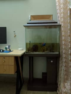 aquarium for sale 0