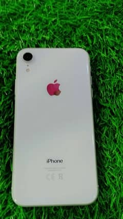 i phone xr 64 gb bt 74 pta approved