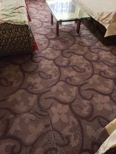 Carpet With Matching Curtains