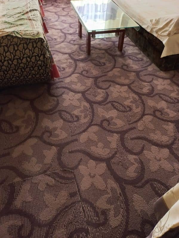 Carpet With Matching Curtains 0