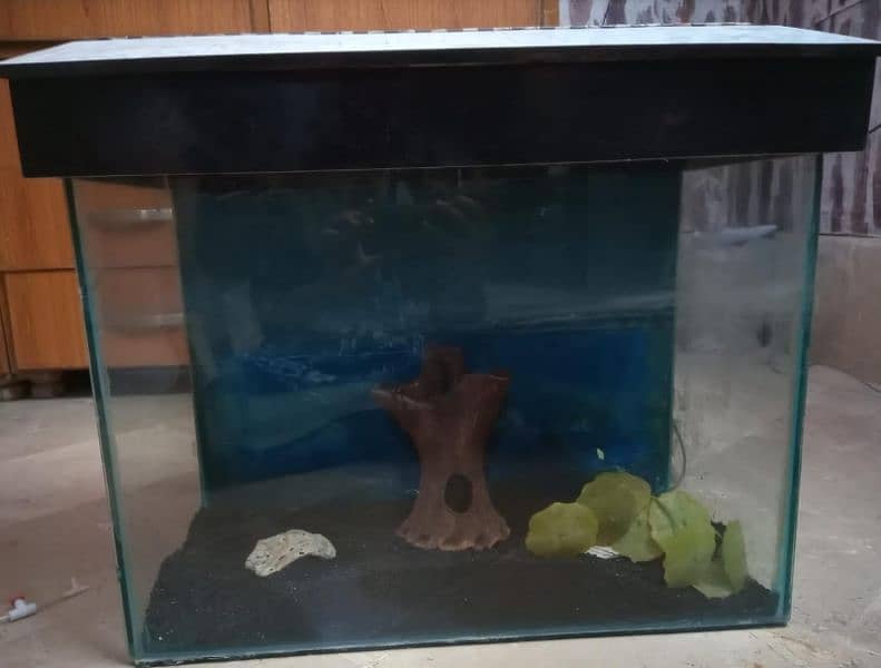 Aquarium glass with hood only 1