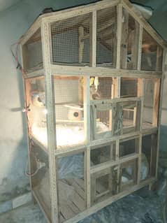 Birds Cage