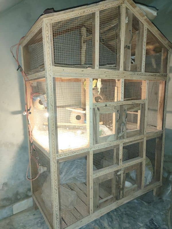 Birds Cage 0