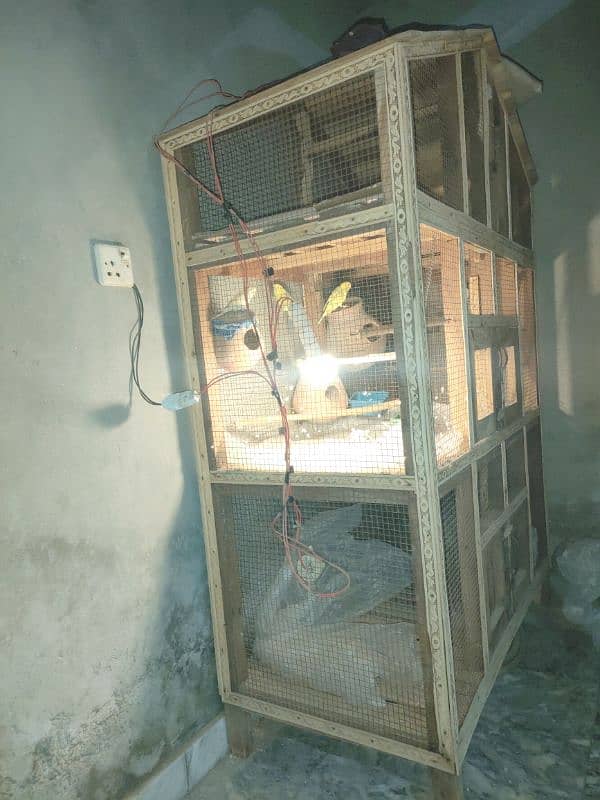 Birds Cage 1