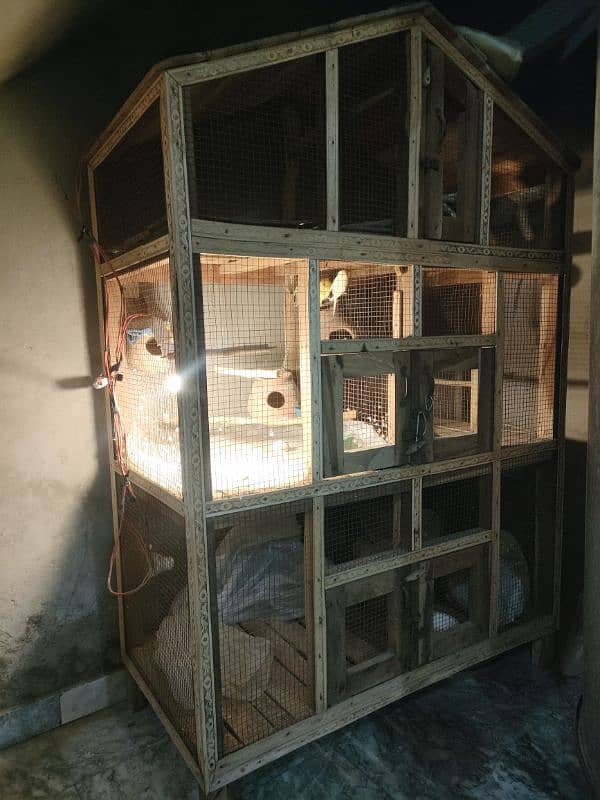 Birds Cage 2