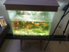 FISH ACQUARIUM WITH FISHES IN IT AND WATER MOTOR