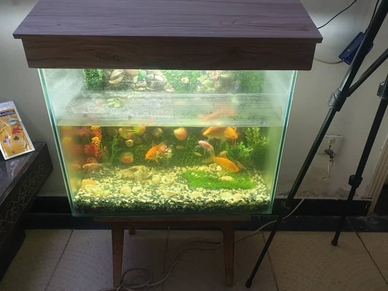 FISH ACQUARIUM WITH FISHES IN IT AND WATER MOTOR 1