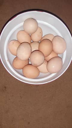 desi eggs 0