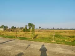 1 Kanal Farm House In Farm City 38 Lac Per Kanal