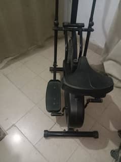 exercise cycle