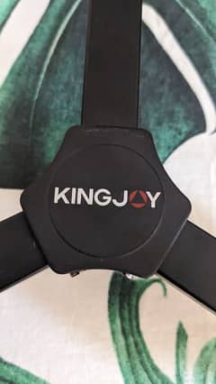 kingjoy