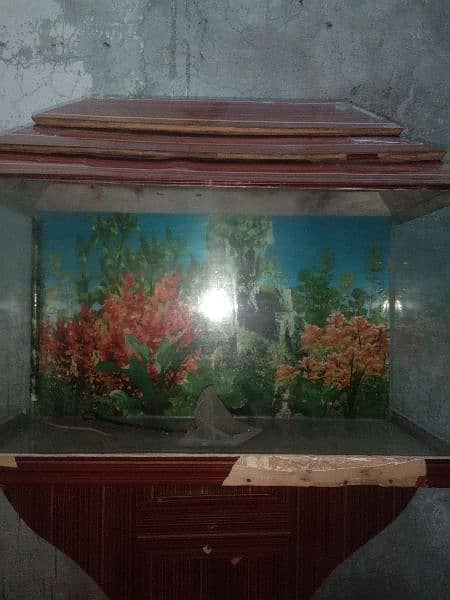 Aquarium for sale 4