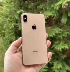 iPhone Xs Max Golden 256GB Water Pack