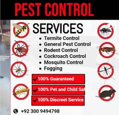 Termite Control, Fumigation Spray, Deemak Control, Pest Control 0