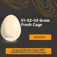 White eggs available on wholesale rate 0