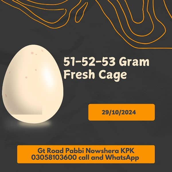 White eggs available on wholesale rate 0