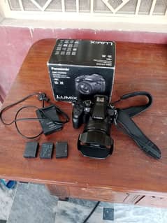 Panasonic Lumix fz2500 0