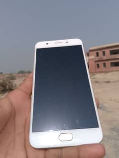 oppoF1s