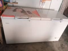 Haier HDF freezer