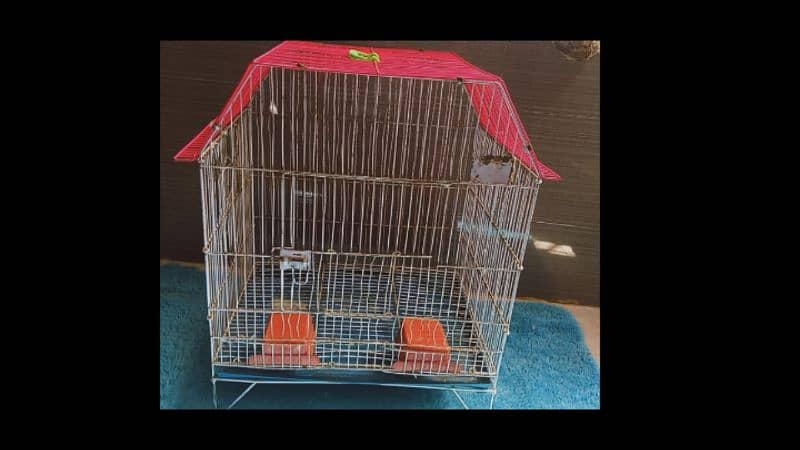 GOOD SIZE CAGE FOR BIRDS 3