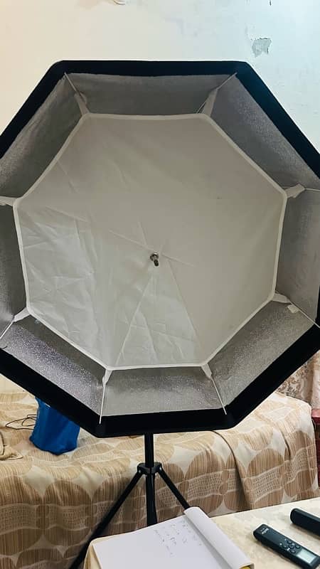 Studio Light GoDox SL60W with Stand and Umbrella 1