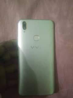 vivo