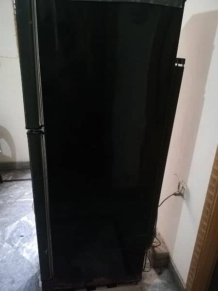 PEL Refrigerator for Sale / Fridge PEL 1