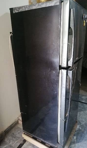 PEL Refrigerator for Sale / Fridge PEL 2