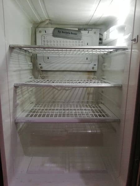 PEL Refrigerator for Sale / Fridge PEL 6